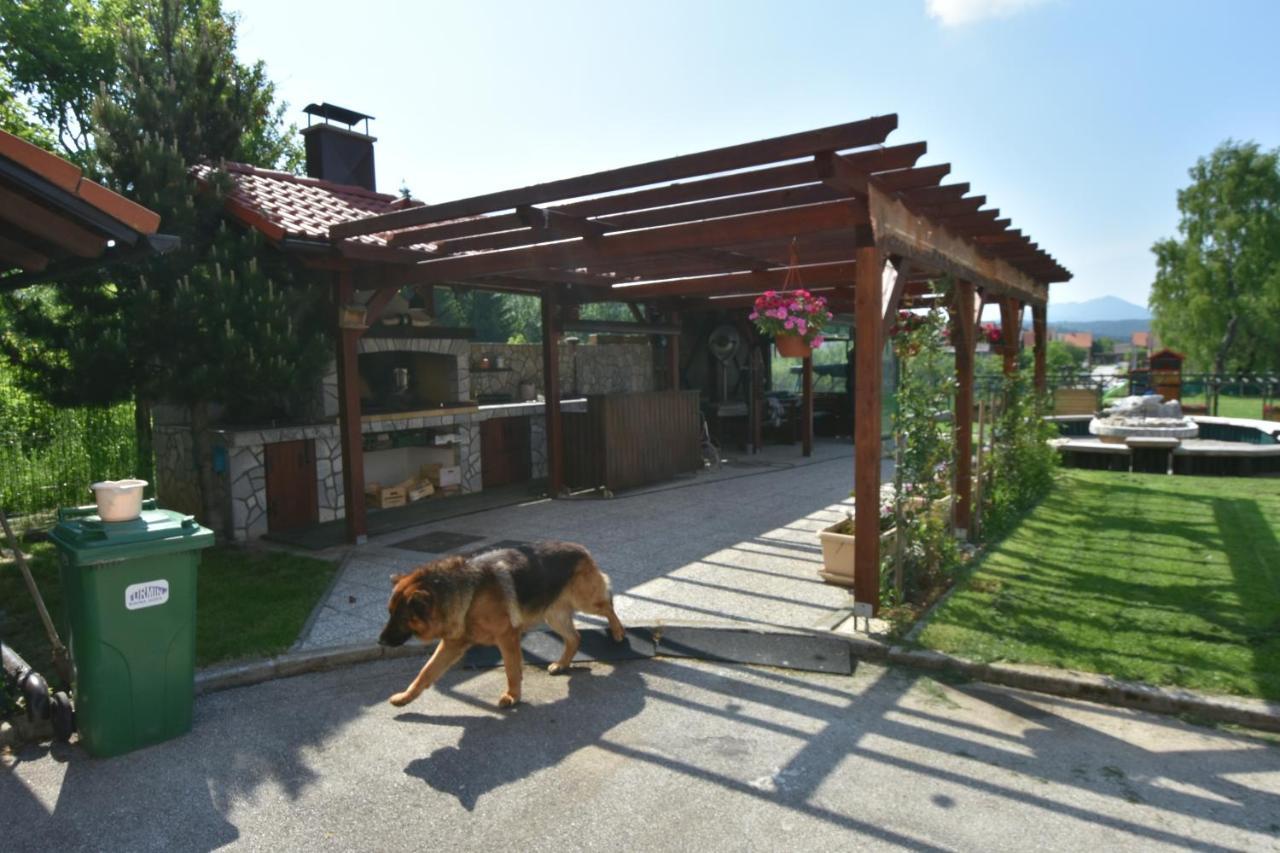 Apartments And Rooms Kod Eli Ravna Gora Exterior foto