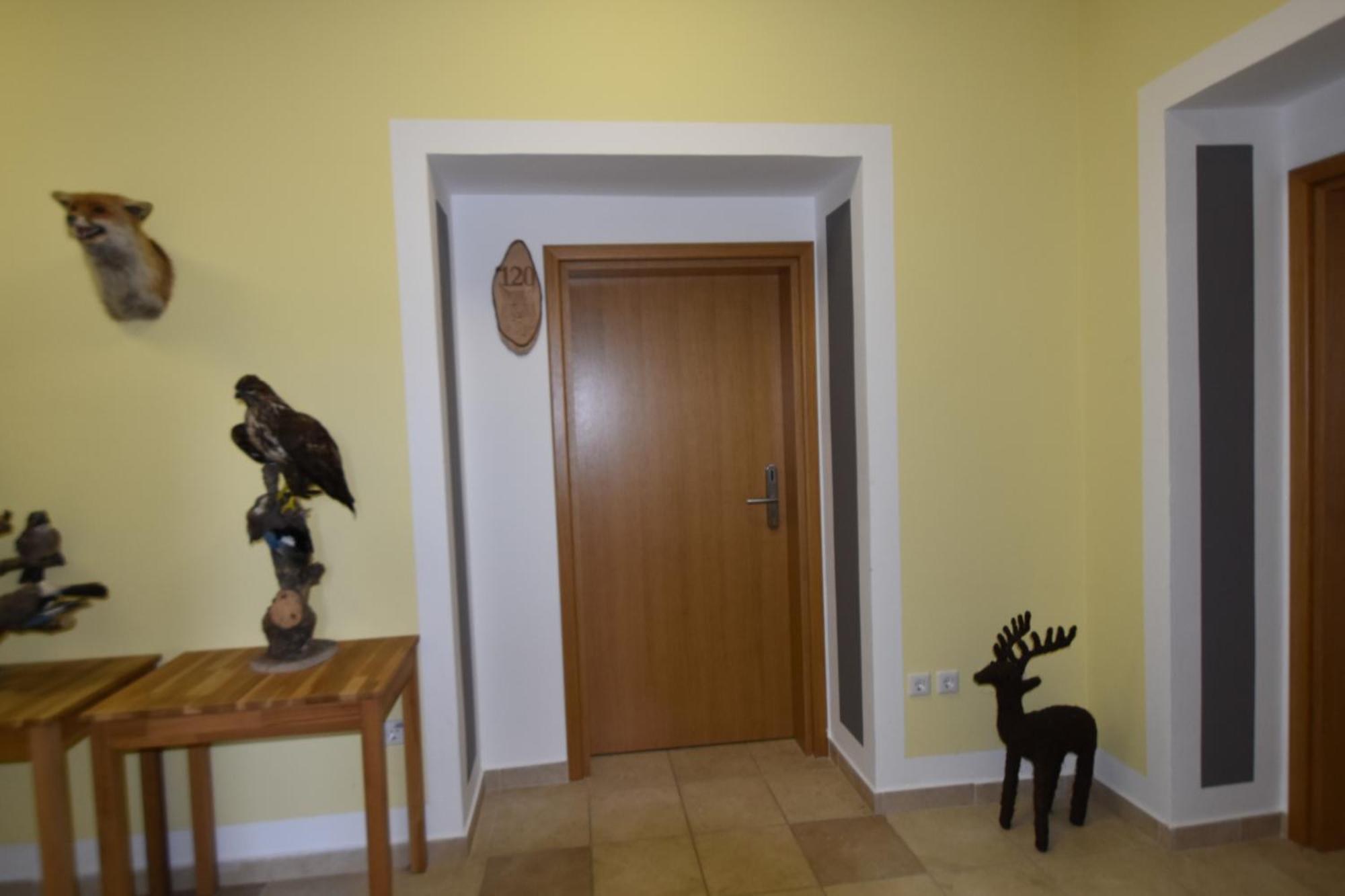 Apartments And Rooms Kod Eli Ravna Gora Exterior foto